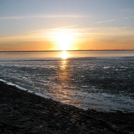 酒店 Filoxenia 布特亚丁根