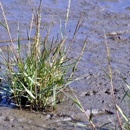 فندق Filoxenia 3*